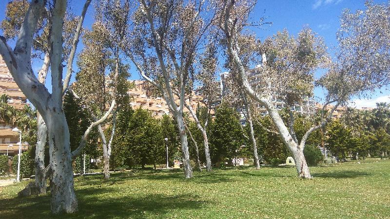 Acv - Costa Marina I-1ª Linea Planta 2 Sur Apartment Oropesa del Mar Luaran gambar
